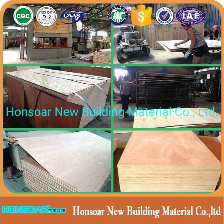 High Quality Bintangor/Okume Commercial Plywood for Building Material