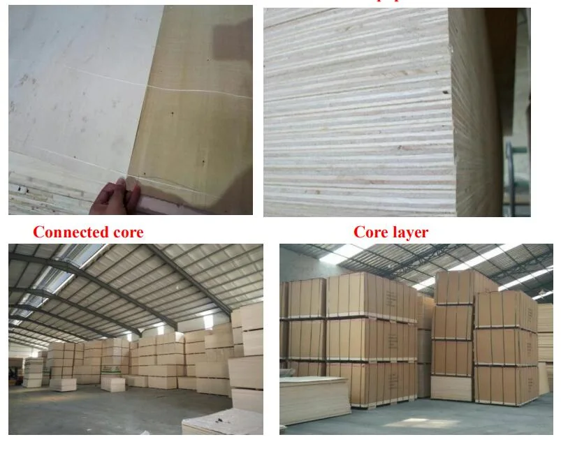 High Quality Okoume/Bintangor/Pencil Cedar/Poplar/Birch/Pine Faced Plywood Used for Furniture