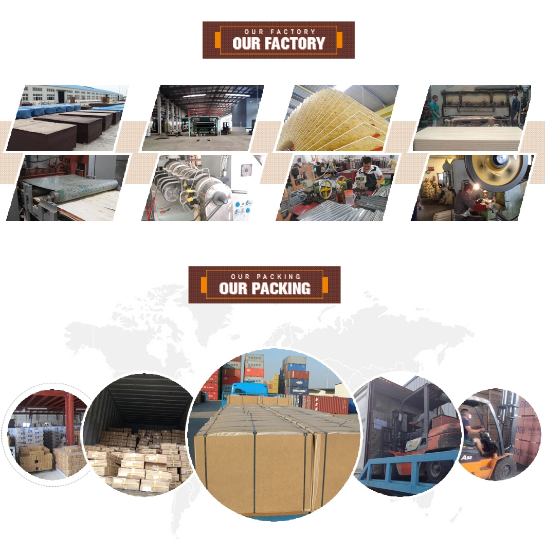 Finger Joint/Black Brown/Construction and Real Estate Film Faced Plywood From Factory