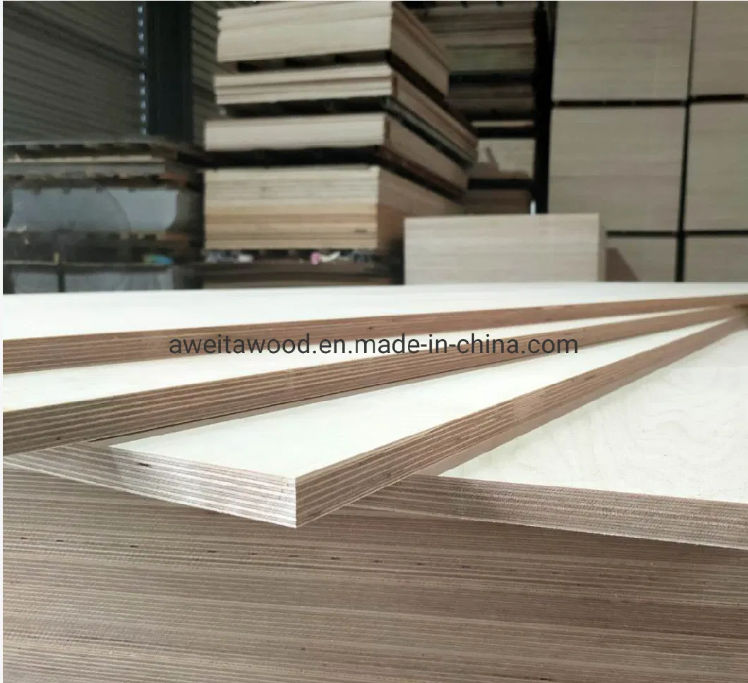 Baltic Birch Plywood Veneer Wood Sheet Birch Wood Ply Plywoods Melamine Laminated Plywood for Cabinets