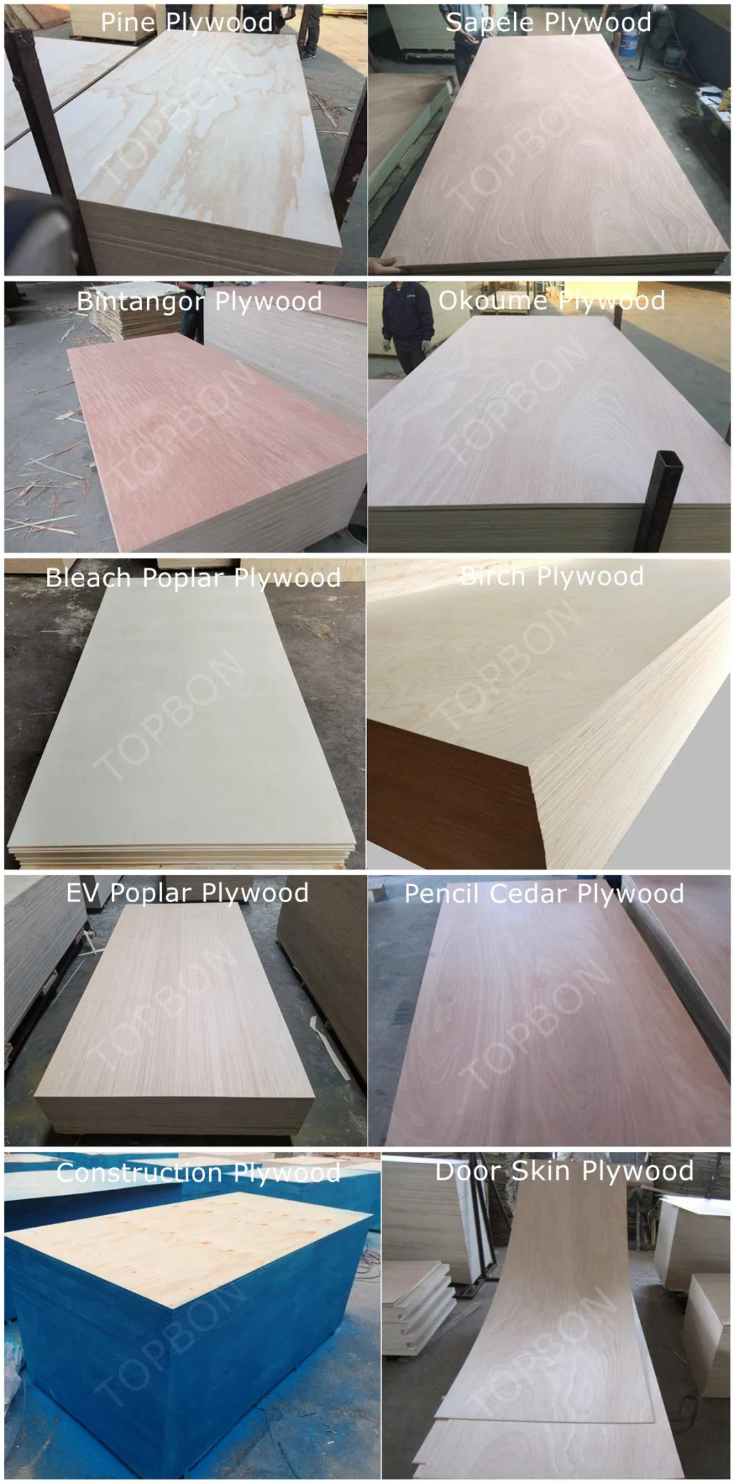 Furniture Plywood/Commercial Plywood/Plywood with Competitive Price