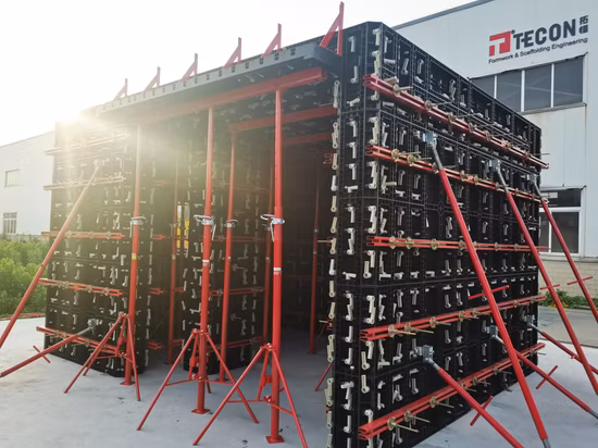 Tecon Reusable Plastic Wall and Column Formwork for House