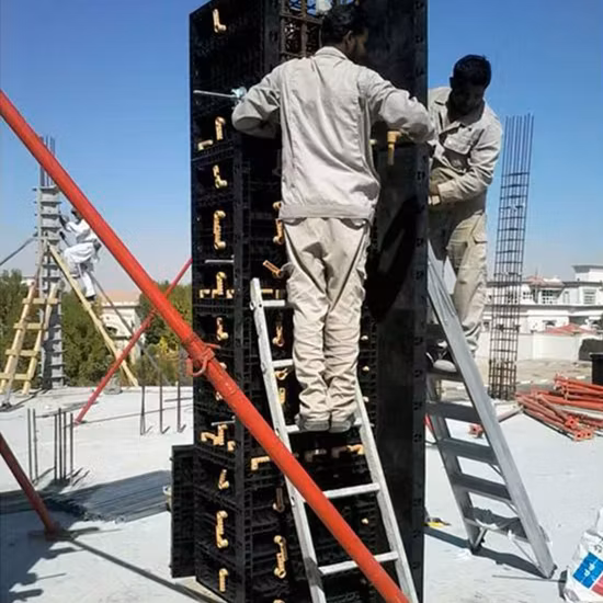 High Quality Wall Column Roof ABS PP Plastic Formwork for Construction