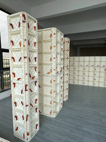 Versatile Plastic Wall and Column Formwork for Construction 